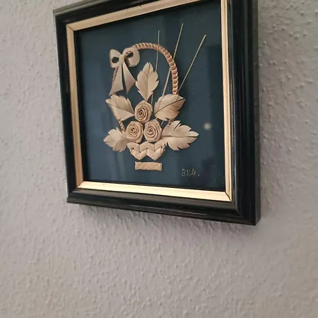 Apartment Janjic