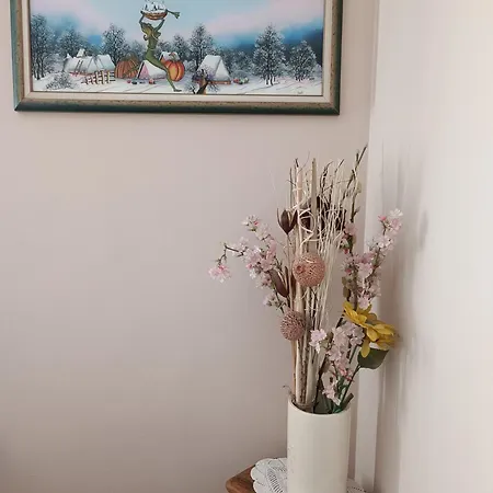 Janjic Apartment *
