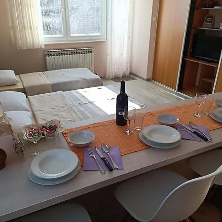 Janjic Apartment *