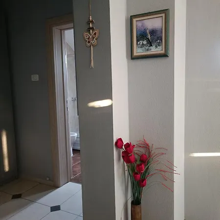 Janjic Apartment