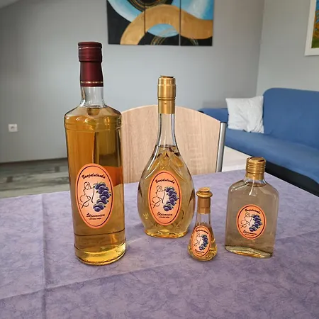 Janjic Apartment