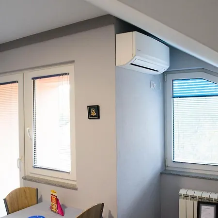 Janjic Apartment