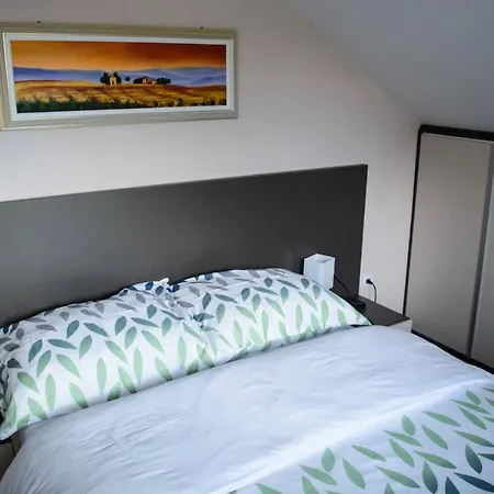 Janjic Μπάνια Λούκα