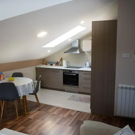 Janjic Μπάνια Λούκα