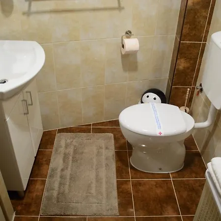 Janjic * Μπάνια Λούκα