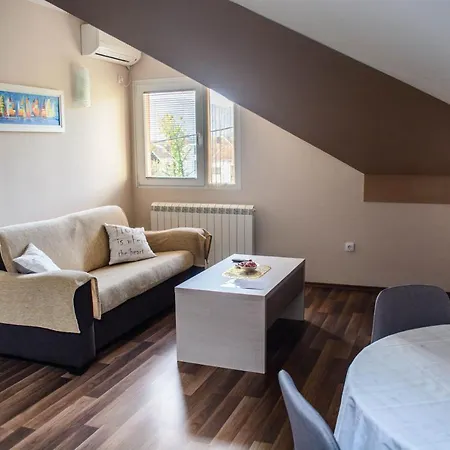 Janjic Μπάνια Λούκα